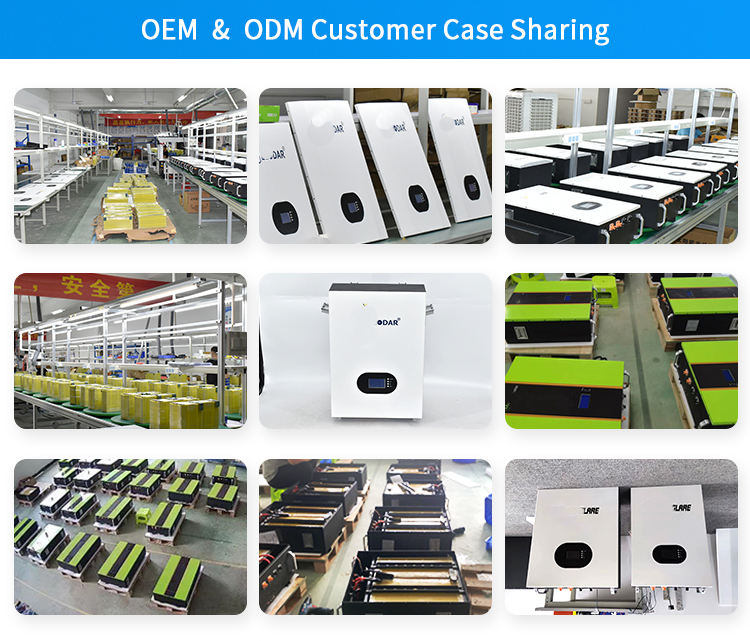 10kwh 48v 100ah 200ah 51,2v Home Power Batterie Wand Lifepo4 Home Solar Energie Speicher System Powerwall Lithium-ionen Batterie