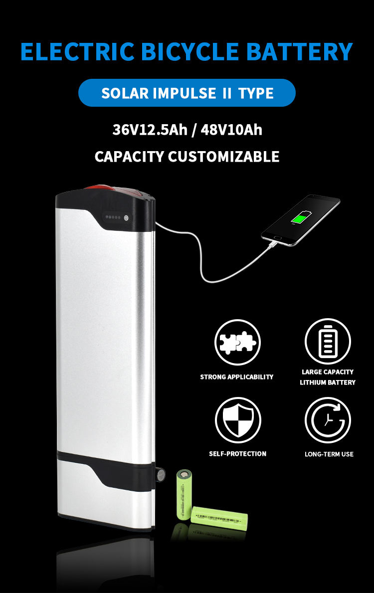 rack mount bicycle battery велосипедный аккумулятор для крепления в стойку