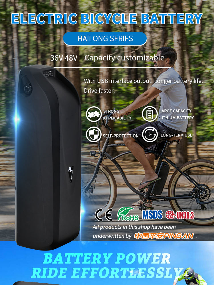electric battery for bike elektrische Batterie für Fahrrad