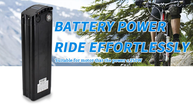 ebike battery E-Bike-Akku